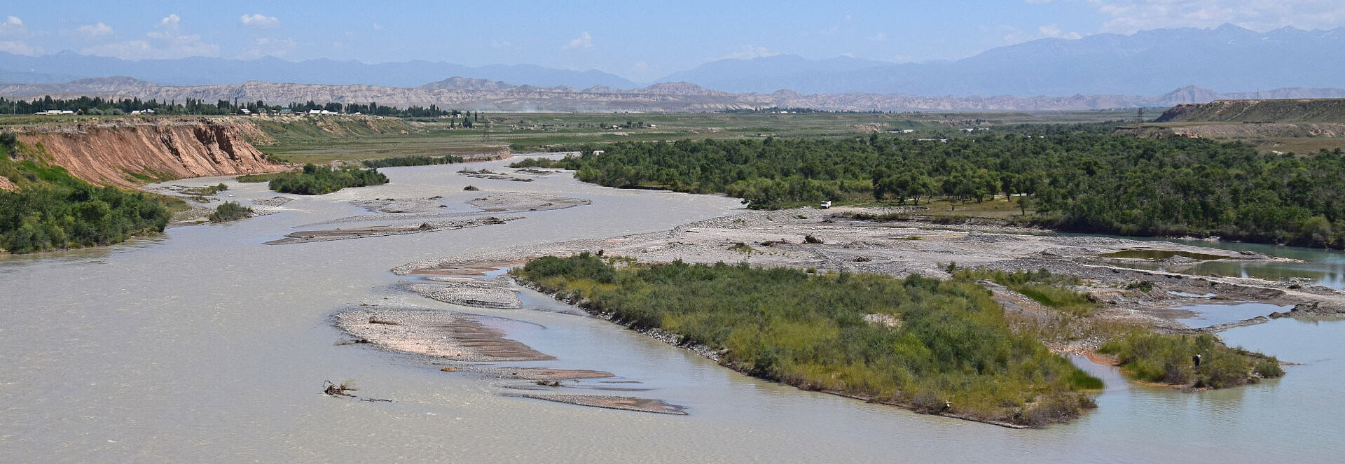 Die Flussauen des Naryn in Kirgistan